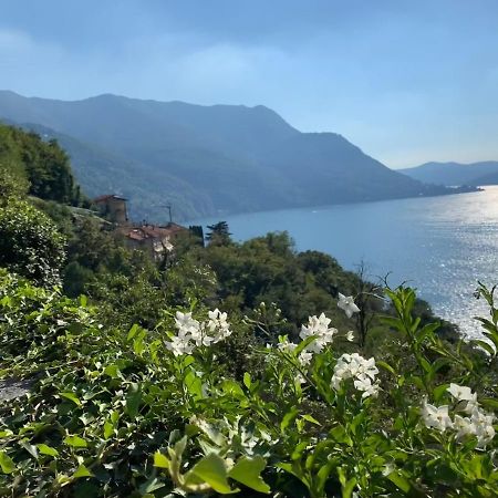 Pognana Lario Apartment Casa Dono Il Lago מראה חיצוני תמונה