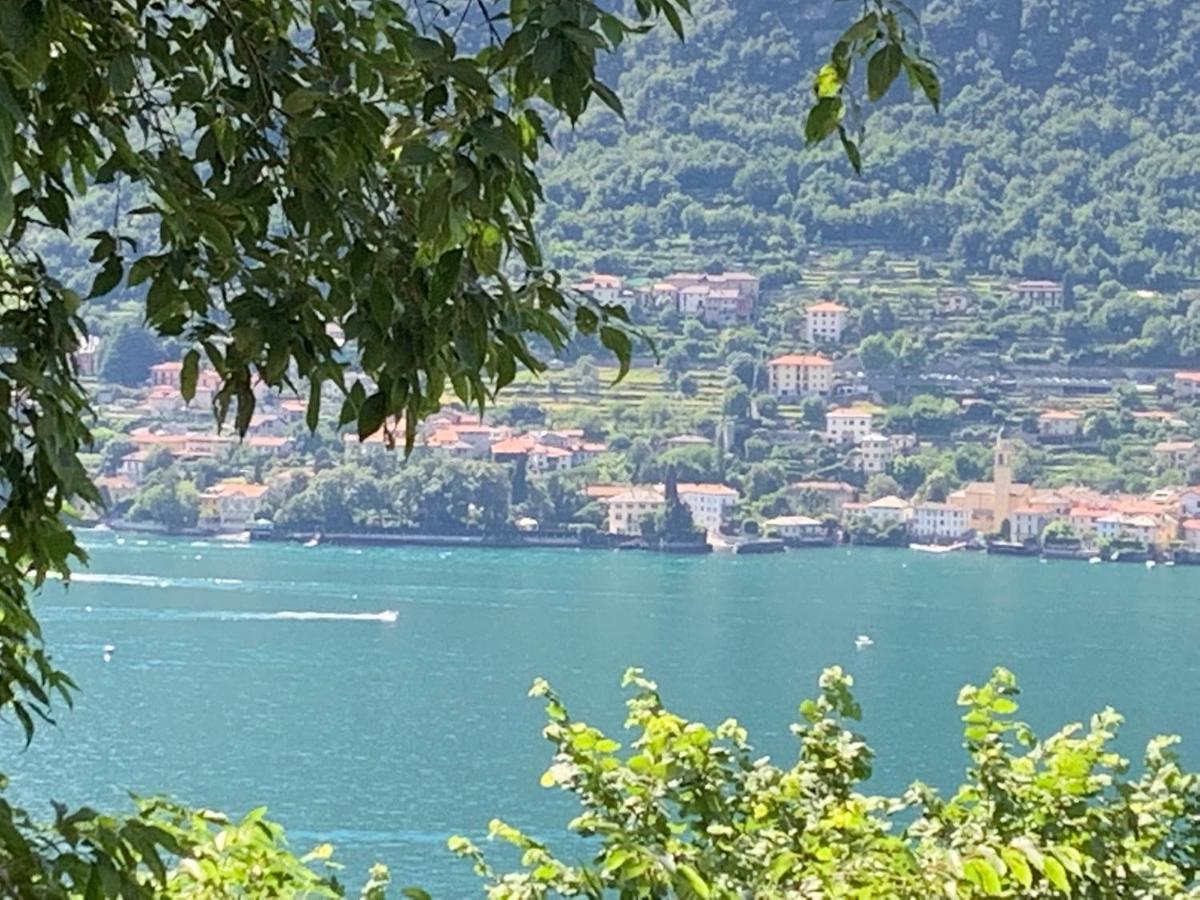 Pognana Lario Apartment Casa Dono Il Lago מראה חיצוני תמונה