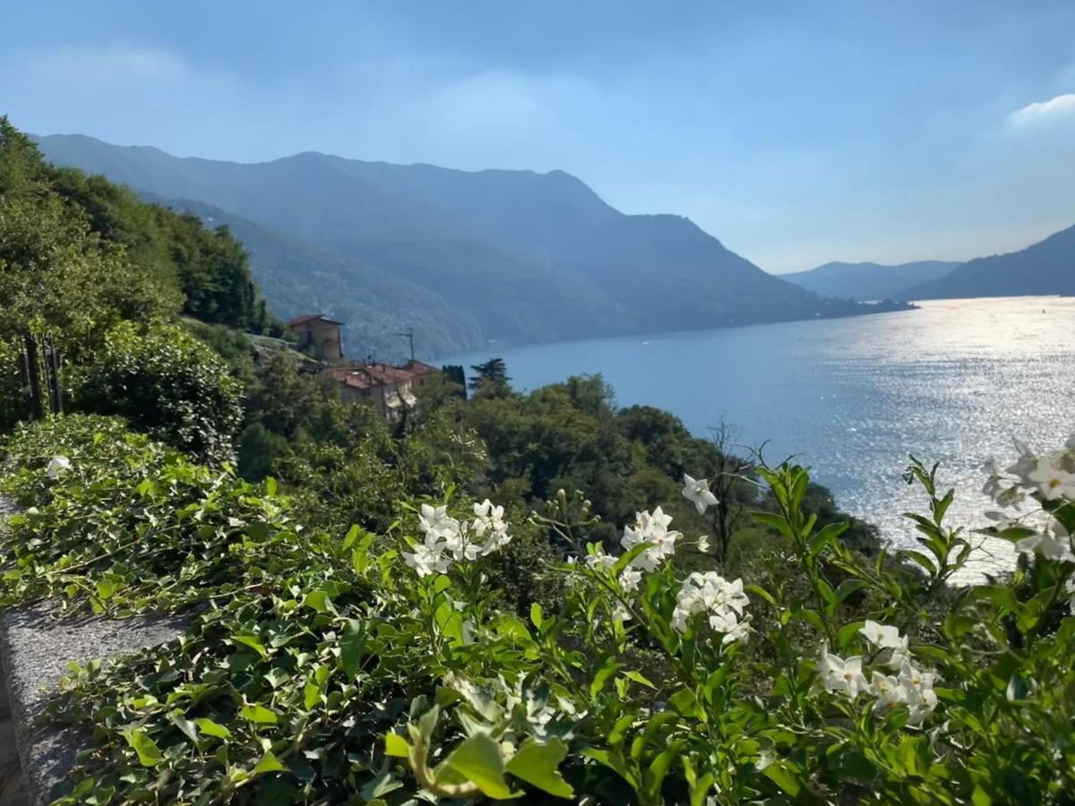 Pognana Lario Apartment Casa Dono Il Lago מראה חיצוני תמונה