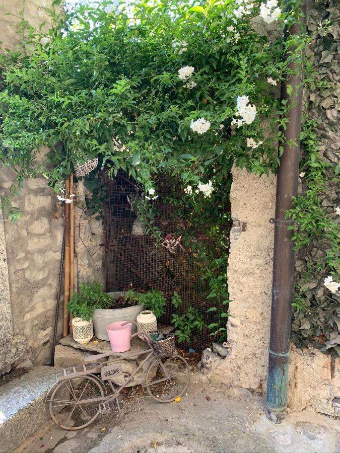 Pognana Lario Apartment Casa Dono Il Lago מראה חיצוני תמונה